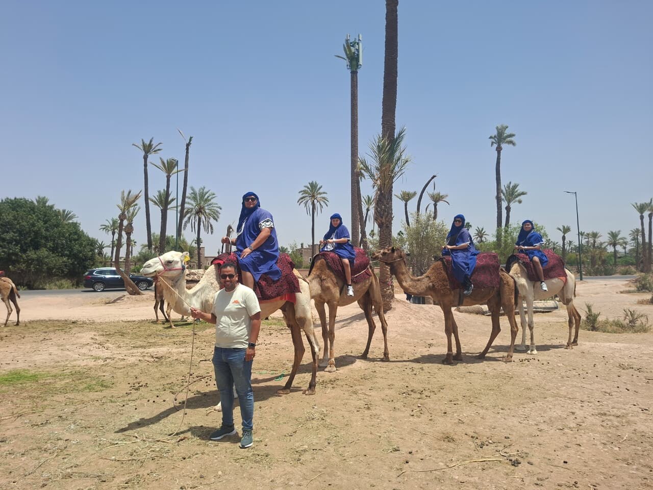 Private camel experience near Marrakech