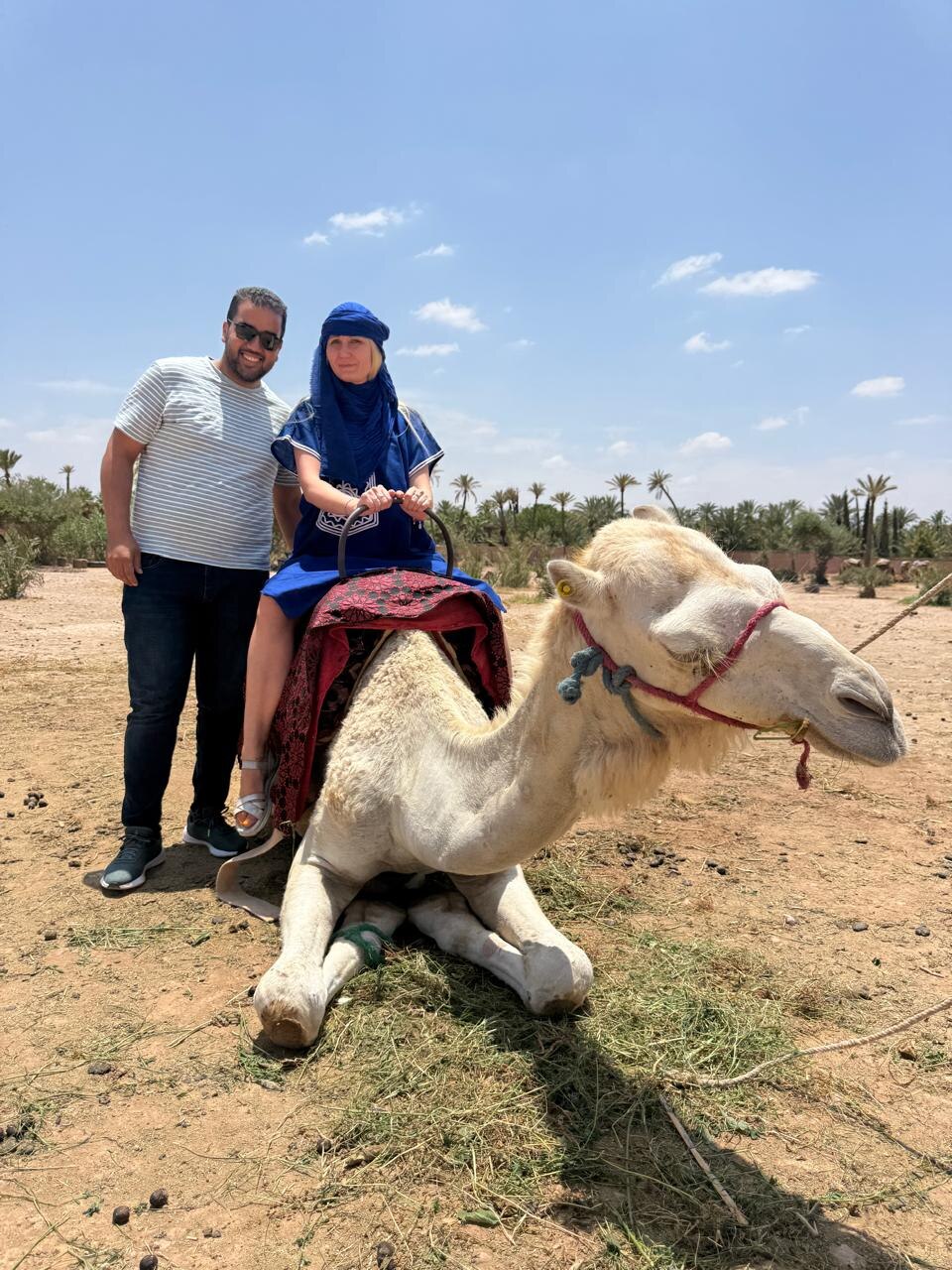 A private camel experience hosted by Ayoub